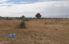 MAMAIA NORD- TEREN 540 MP, 210 EURO/ MP (Cod E8) - 3