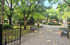 REA1029389 Apartament la cheie - 3 camere decomandat - 73 mp utili - an 2103 - 7 - 14