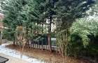 Vila Premium - 6 camere - Pipera - 19