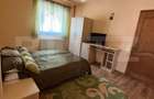 Casa cu destinatii multiple, 8900 mp teren, Vatra Moldovitei - 4