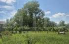 Proprietate de vanzare, teren 5488 mp, localitatea Ambud, comuna Paulesti - 8