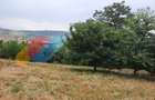 Teren intravilan, 2000 mp, Valea Chintaului - 2