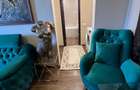 Apartament renovat complet, 69 mp, etaj 8 – Zona Semiluna, Dărmănești