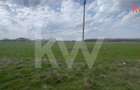 TEREN INTRAVILAN 1000 MP CARCEA - ZONA HANUL CU PONEI - 4