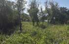 TEREN INTRAVILAN DE VÂNZARE – CĂLUGĂRENI, GIURGIU | 2.418 MP | DESCHIDERE 24 M - 2