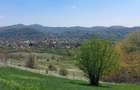 Teren Campina platoul Muscel - 11