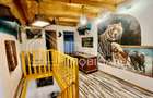 Casă 4 camere | stil rustic | Comuna Sadu, Sibiu - 1
