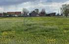 Teren Sat Bacel 6200 mp - 3