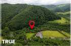 Teren intravilan 2.800 m² în Câmpu Cetății – liniște și natură - 9