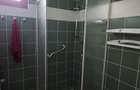 Vanzare vila P+1+M cu 5 camere, casa batraneasca , 2 garaje, teren 9249mp, - 17