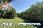 Casă de vânzare cu teren de 1.000 mp | Grigoreni, comuna Șorteni | CE1803 - 2