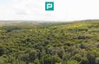 TEREN AGRICOL EXTRAVILAN  22.900 MP LIPOVA - 7