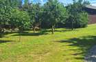 AFACERE LA CHEIE cu locuință + hale, teren 4.007 m² - 6