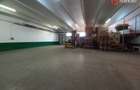 Hala industriala 1.411 mp, teren 2.068 mp - Acces TIR, Freidorf - 3