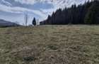 Teren intravilan la baza pădurii Valea Doftanei sat Traisteni (poduri) - 7