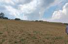 2 Parcele de teren extravilan zona Bradet Pret 3000eur/ar neg usor - 2