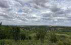 TEREN INTRAVILAN  |  1.824 MP  |  DEALURI  |  ORADEA - 2
