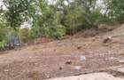 Teren de vanzare 1030mp Pitesti Central Piata Smardan La Felinare - 1