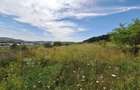 Teren intravilan 5.800 mp, Baciu Vatra Satului Vechi, Panorama superba - 19