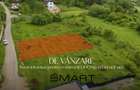 Teren intravilan 1300mp Cisnadioara str. Ciresilor - 1