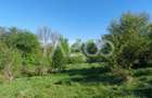Teren 3445 mp intravilan front 26 m utilitati in zona in Cisnadie - 1