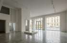 REC3001720 Spatiu comercial Piata Romana - 4