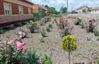 De vânzare casa mare - 1