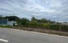 Teren de vanzare in localitatea Iazurile judetul Tulcea - 2