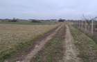 RECO Teren intravilan  Osorhei - 5