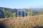 Teren intravilan | 3565 mp | Ideal constructie cabane | Garda de Sus - 2