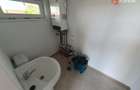 Duplex cu 3 camere si 2 bai, Sag - zona Manastire - 29