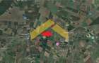 Teren 6,8ha extravilan de vanzare Zimandu Nou - 3
