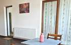 Inchiriere Penthouse Otopeni - 21
