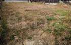 Teren intravilan 446 mp | Teren plan | Utilitati in zona | Negociabil