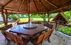 Proprietate Deosebita | Teren 3000 MP | Barbeque | Acces Padure |VIDEO - 22