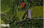 Teren intravilan 2.800 m² în Câmpu Cetății – liniște și natură - 3