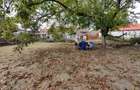 Vand casa 3 camere in Chesint ID:RH-41260-property - 9