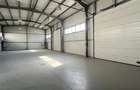 Hala moderna, 600 mp, showroom, depozit, birouri, 6m inaltime, Floresti - 10