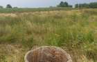 Teren intravilan in Delta Dunarii, C.A. Rosetti - Cardon - 7