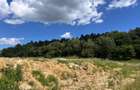 Teren 1200 mp, zona Wonderland! - 6