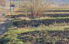 Teren extravilan 6,100mp Stroiesti / Soseaua DN17, Suceava - 4