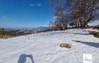 Teren De Vanzare In Sirnea - 22