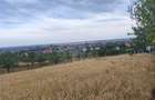 TEREN INTRAVILAN//PAULESTI//2930MP - 2
