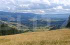 Teren extravilan de vanazre, 42.152 mp, zona Saru Dornei