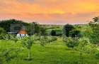 Cabană cu livadă și panoramă superbă – Refugiu în natură, Blaj - 9