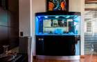 Penthouse spectaculos cu vedere catre parc - 14