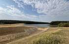 TEREN INVESTITIE | PANORAMA | 4.350 MP | SAUAIEU | BIHOR - 1