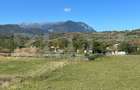 Teren intravilan Bran - 2