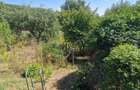 Casa in mediu rural cu teren - 24