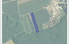 Teren 9247 mp - Ghermanesti - Snagov - 2